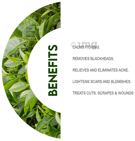 Glowious Tea Tree Essential Oil 4