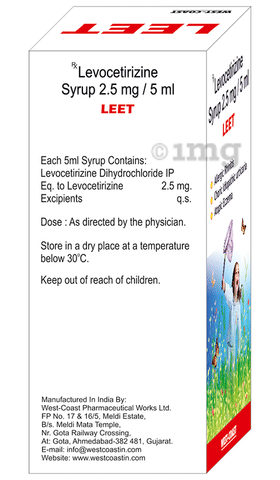 Leet Syrup image