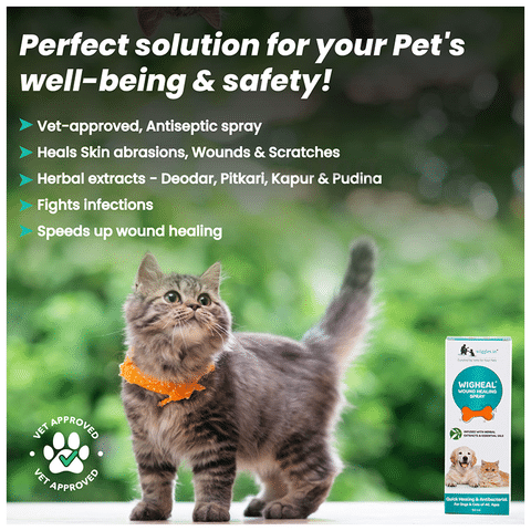 Wiggles Wigheal Organic Wound Healing Spray for Dogs & Cats: Buy pump  bottle of 50 ml Spray at best price in India | 1mg