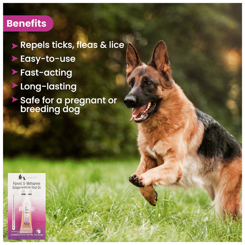 Wiggles Eraditch Spot-On for Dogs 40-60Kg: Buy box of ml