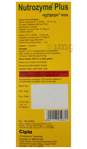 Nutrozyme Plus Syrup Pineapple image