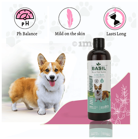 Basil Pet Anti Dandruff Anti Itch Shampoo: Buy bottle of ml
