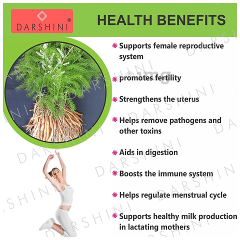 Darshini Shatavari | Asparagus Racemosus | Shatavari Root Powder: Buy  packet of 200.0 gm Powder at   in India | 1mg