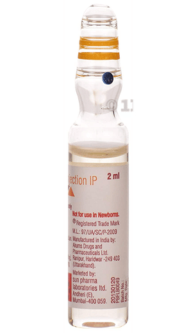 Susten 200 Injection image