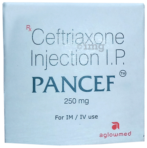 Pancef 250mg Injection 1