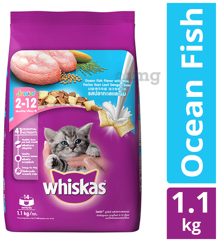 Cat food for mother cats sales