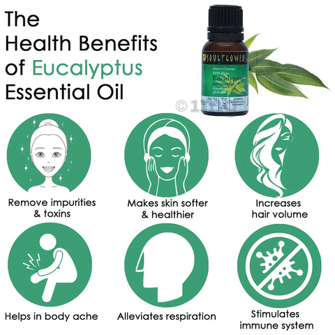 Soulflower Eucalyptus Essential Oil image Soulflower Eucalyptus Essential Oil image