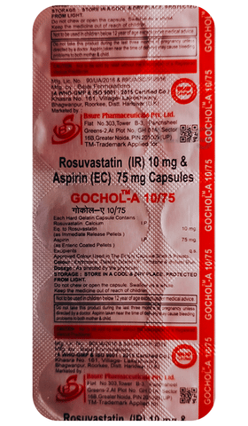 Gochol-A Capsule IR image