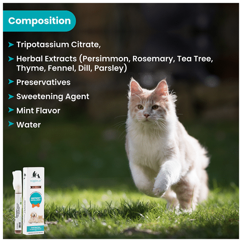Wiggles Dentapet Organic Dental Spray for Dogs Cats Buy pump
