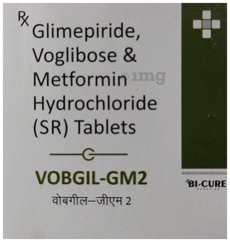 Vobgil-GM2 Tablet SR image
