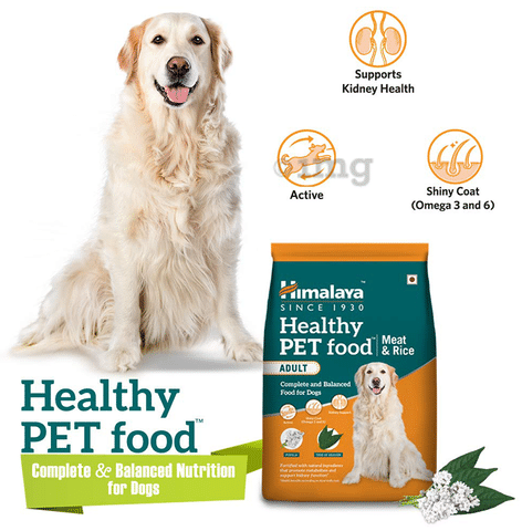 Senior dog food for kidney health sales