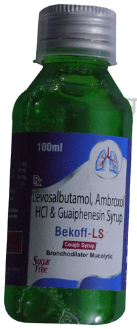 Bekoff-LS Syrup Sugar Free
