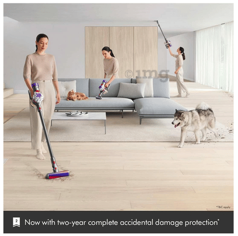 Dyson V8 Absolute Cord-Free Vacuum Cleaner Grey: Buy box of