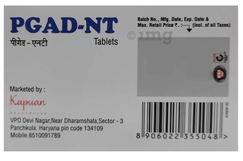Pgad-NT Tablet image