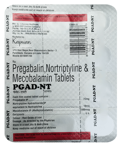 Pgad-NT Tablet image