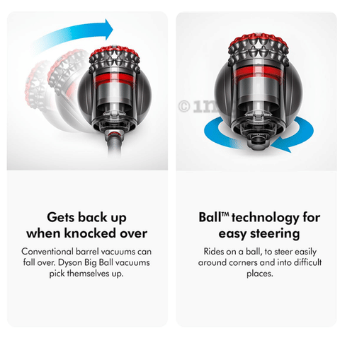 Dyson Big Ball Powerful Bagless Vacuum Cleaner: Buy box of 1.0