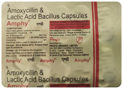 Amphy  Capsule image