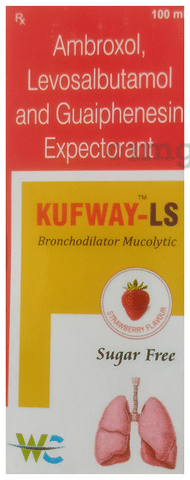 Kufway-LS Syrup Strawberry Sugar Free