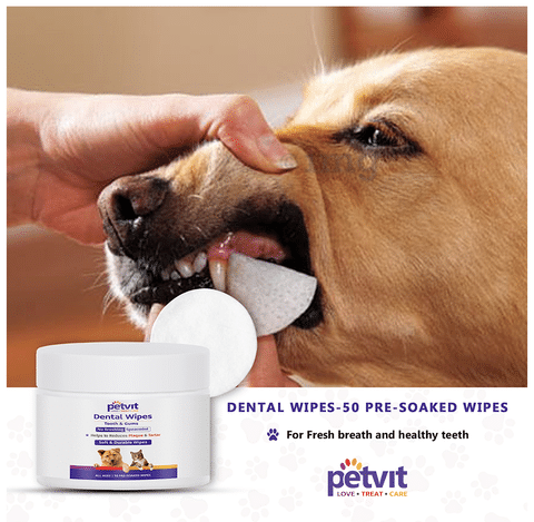 Best dog top dental wipes