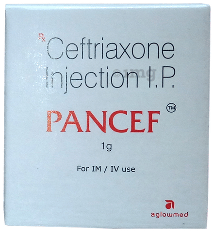 Pancef 1g Injection image