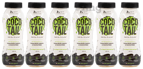 Healthy drinks 2025 for dogs