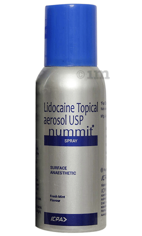 Nummit Spray Fresh Mint image