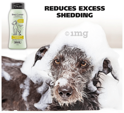 Wahl odor sale control dog shampoo