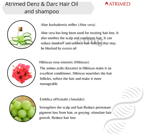 Atrimed Combo Pack of 2 Bottle of Denz & Darc Herbal Hair Oil (100ml Each)  & 2 Bottles of Denz & Darc Herbal Therapeutic Shampoo (200ml Each): Buy  combo pack of 4