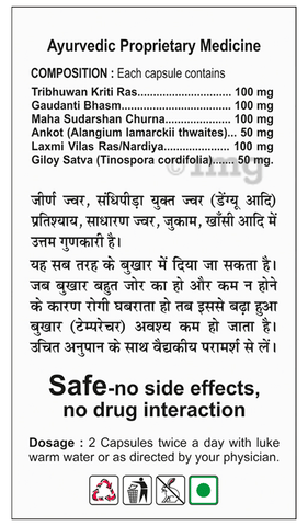 Basic Ayurveda Feverish Capsule image