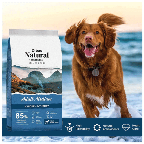 Buy real deals dog