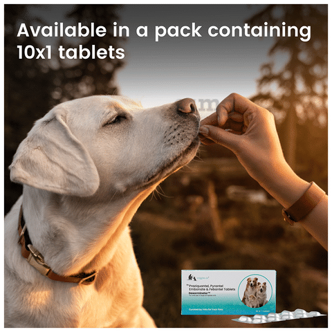 Wiggles Deworminator Tablet for Protection from Roundworm