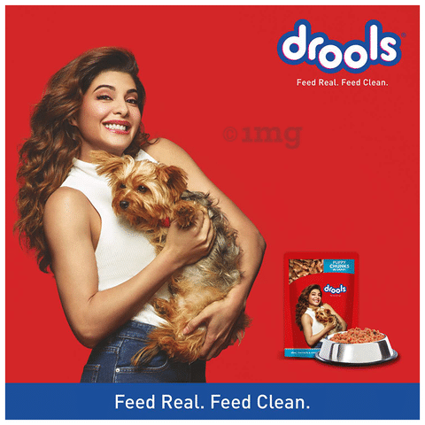 Drools puppy deals food price