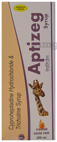 Aptizeg Syrup Orange Sugar Free