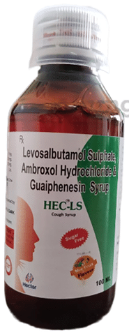 Hec-LS Syrup Mix Fruit Sugar Free