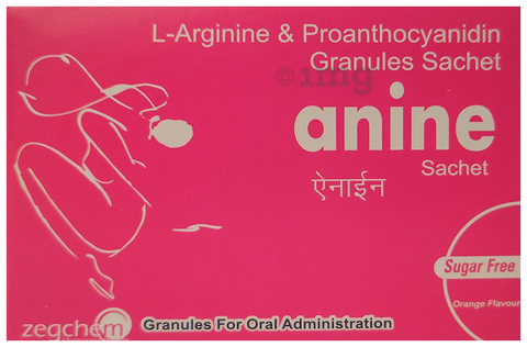 Anine Sachet Orange Sugar Free