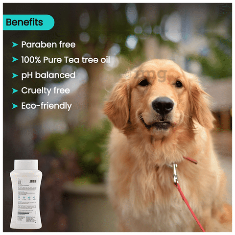 Tree oil for dogs hot sale