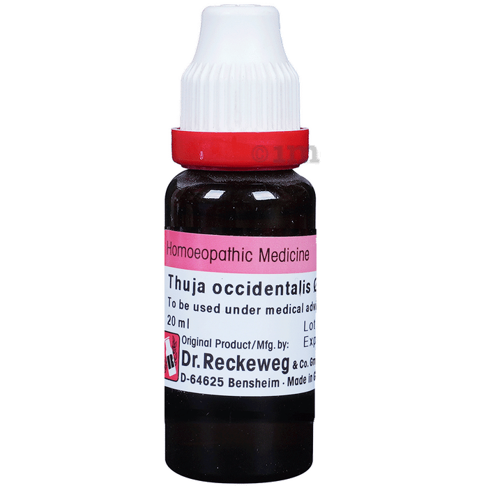 Dr. Reckeweg Thuja Occi Mother Tincture Q