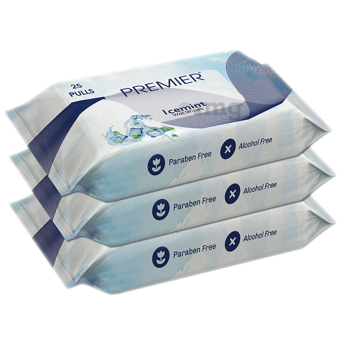 Premier Tissues Wet Wipe (25 Each) Ice Mint