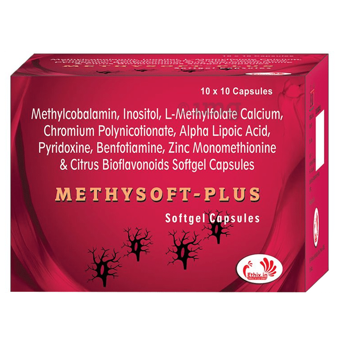 Dr. Ethix's Methysoft-Plus Softgel Capsule (10 Each)