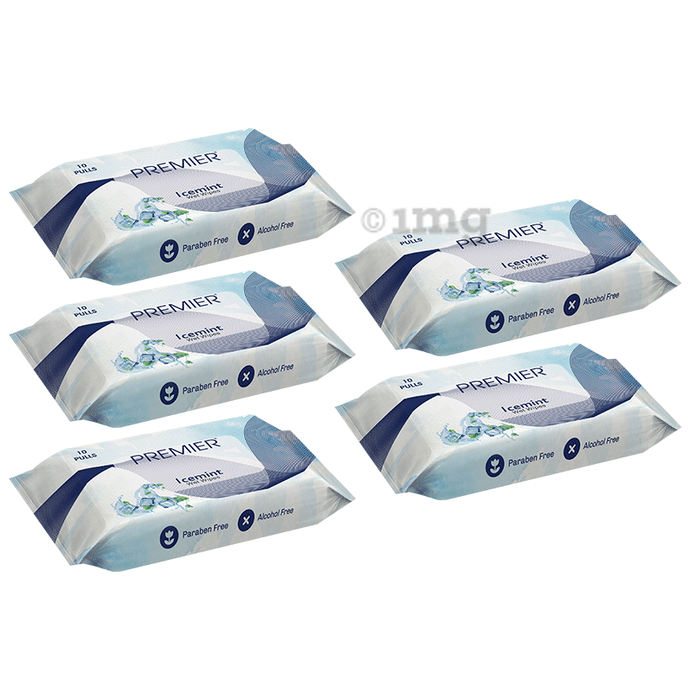 Premier Tissues Wet Wipes (10 Each) Ice Mint