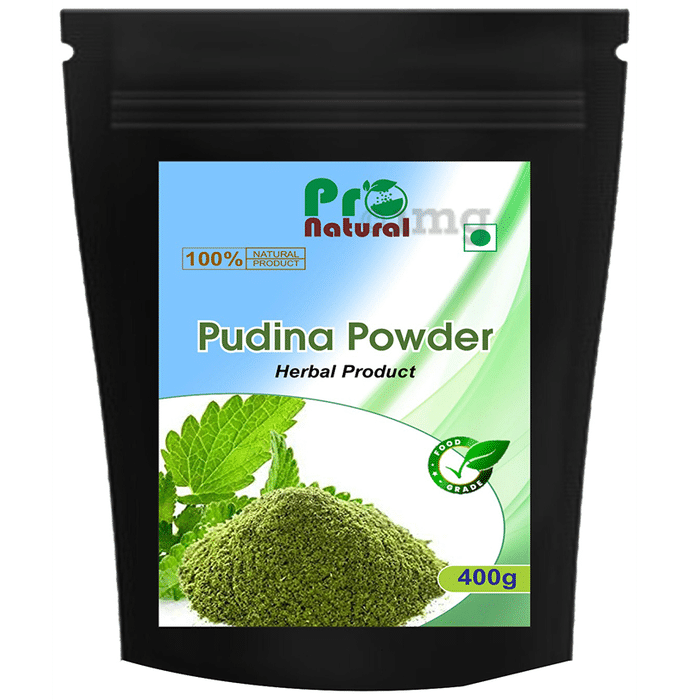 Pronatural Pudina Powder
