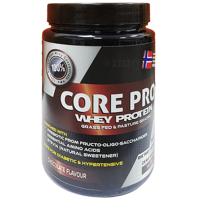 Core Pro Whey Protein Powder Chocolate