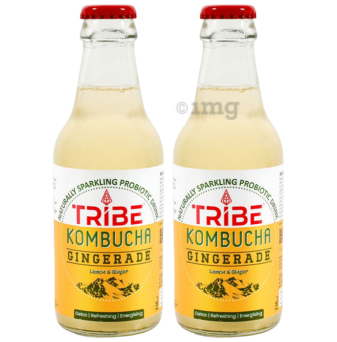 Tribe Kombucha Naturally Sparkling Probiotic Drink Gingerade (210ml Each) Ginger & Lemon