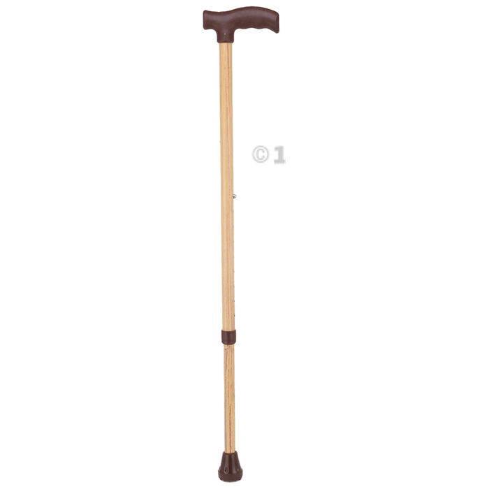 RCSP Wooden Coating Walking Stick
