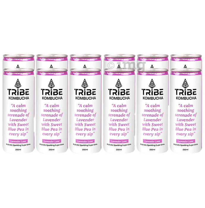 Tribe Kombucha Probiotic Sparkling Super Drink (250ml Each) Lavender Love
