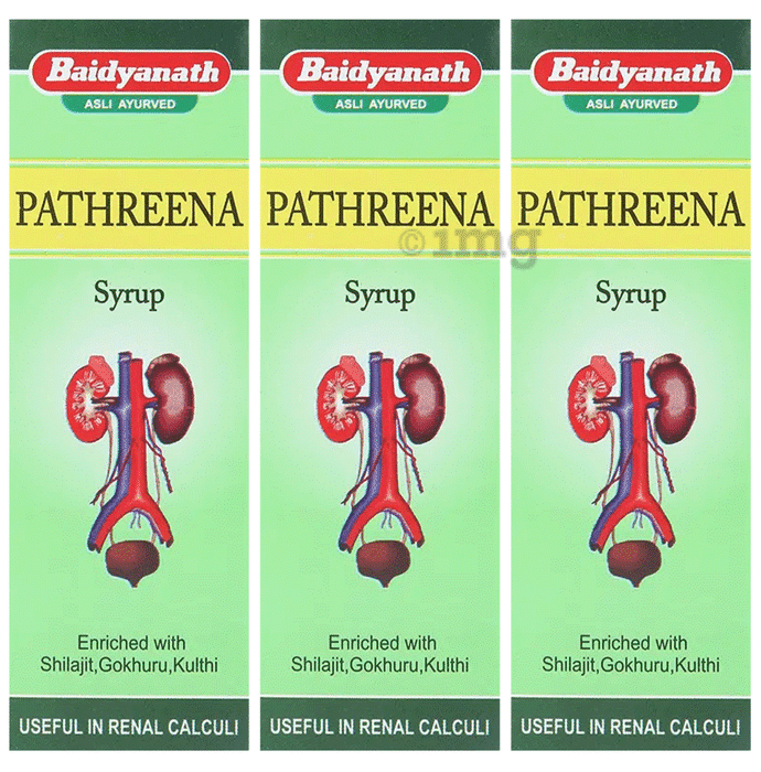 Baidyanath (Jhansi) Pathreena Syrup (200ml Each)