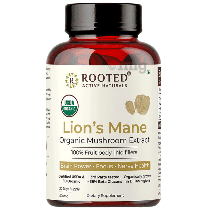 Rooted Active Naturals Lions Mane Organic Mushroom Extract Capsule