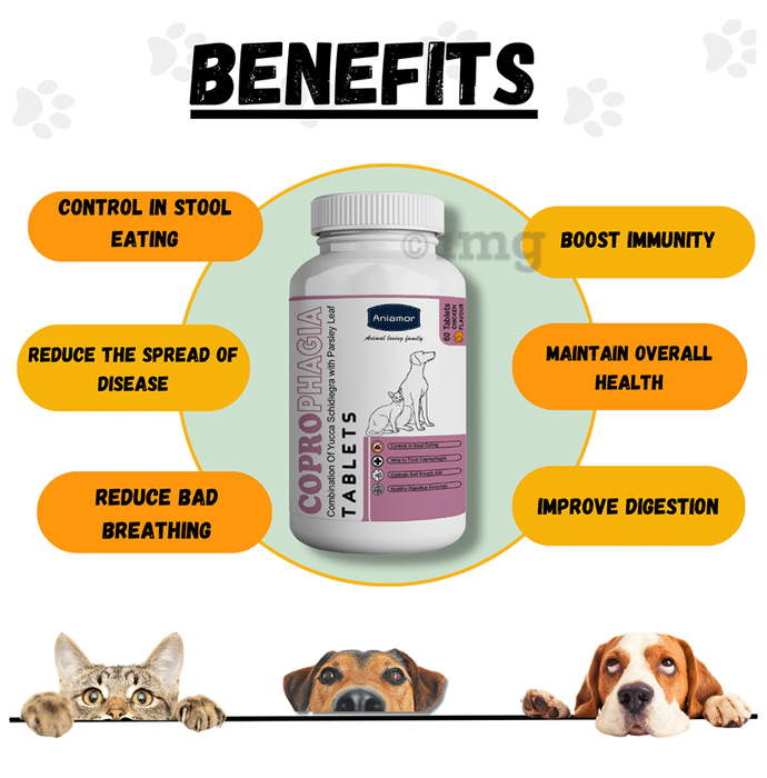 Coprophagia medicine shop