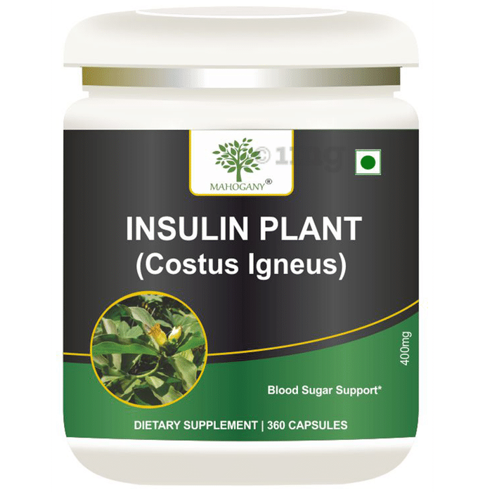 Mahogany Insulin Plant Capsule