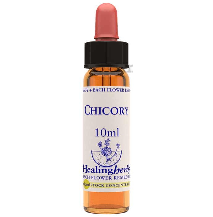 Healing Herbs Bach Flower Chicory